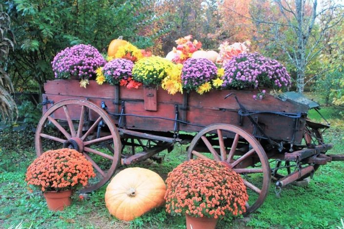 fall-wagon