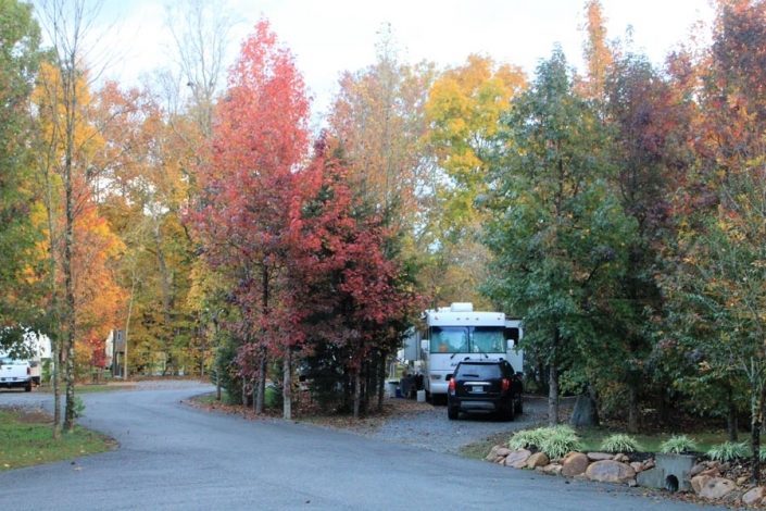 white-camper-with-black-suv