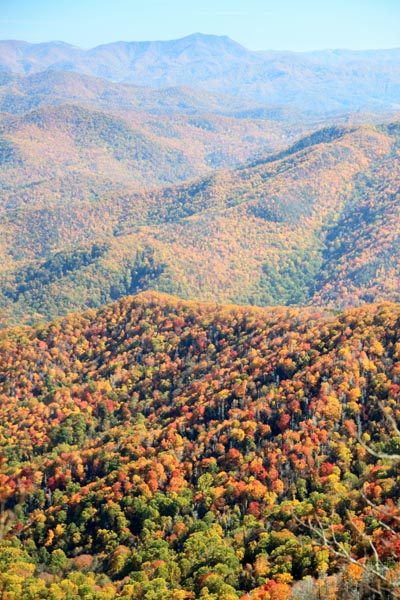 Great Smoky Mountains Aerial View