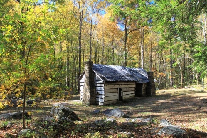 Roaring Fork Cabin