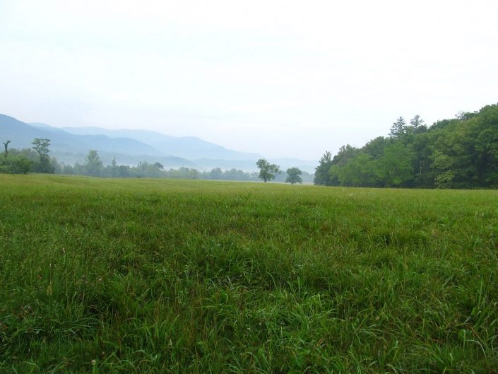 Cades Cove Tennessee