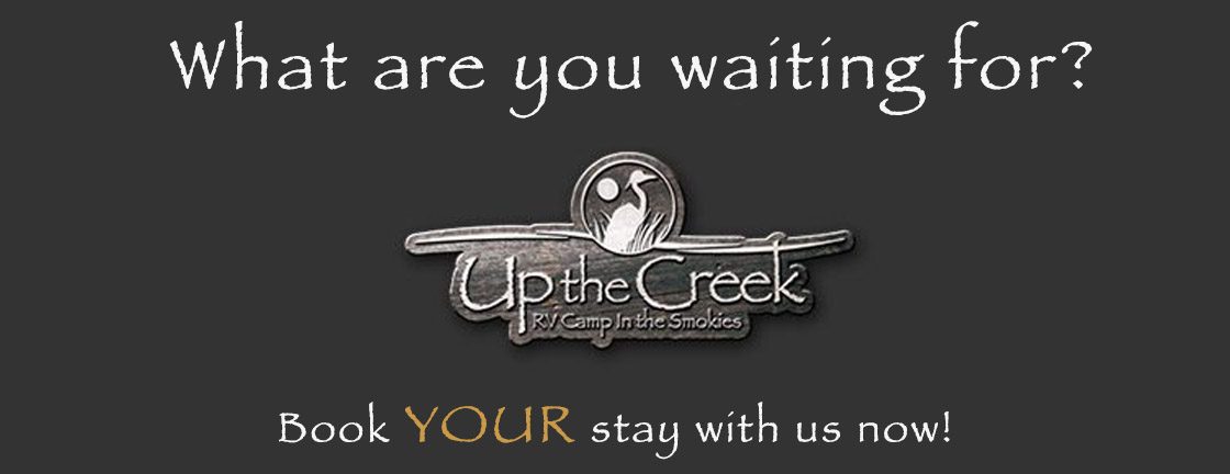 Up The Creek RV Camp Banner