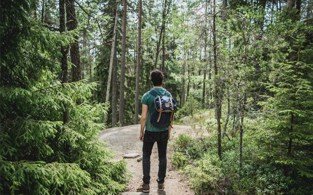 Man Wearing A Backpack Hiking The Great Smoky Mountains