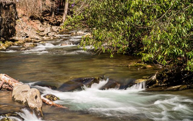 A Creek In Smoky Mtn National Park